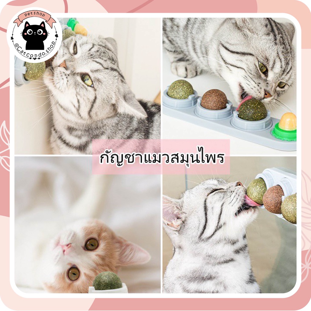 Catnip ออร์แกนิค ของเล่นแมว บอลcatnip แบบเลีย