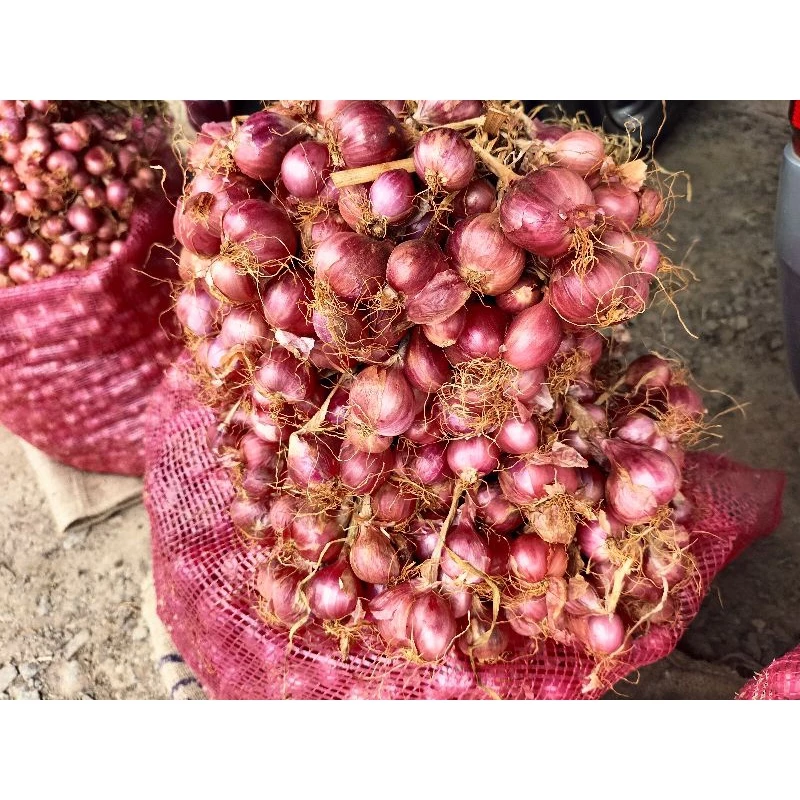 หอมแดงศรีสะเกษ สดใหม่ แห้งดี