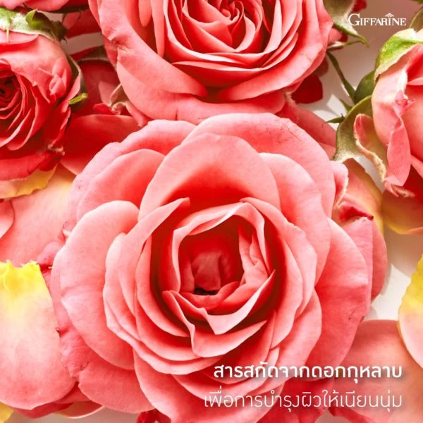 โลชั่นบำรุงผิวกาย กิฟฟารีน โรเซีย 500 มล. thumbnail 4