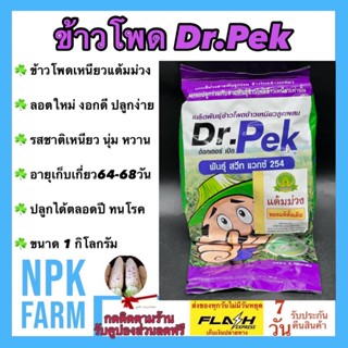 ข้าวโพดเหนียวแต้มม่วง Dr.Pek ขนาด 1 กิโลกรัม ลอตใหม่ เมล็ดพันธุ์ ข้าวโพด ม่วงแต้ม ฝักใหญ่ สม่ำเสมอ เหนียวนุ่ม หอม อร่อย