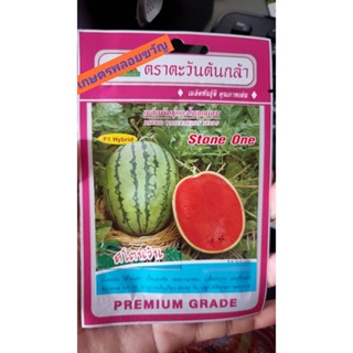 เมล็ดพันธุ์ แตงโม 🍉สโตนวัน🍉🚩บรรจุ25-30เมล็ด แตงโมลาย รสหวานกรอบ เปลืองบางมาก เก็บเกี่ยว 60-65 วันหลังหยอด