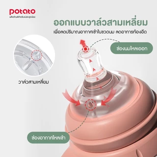 Potato จุกนมคอกว้างเสมือนนมแม่ (NZ623)