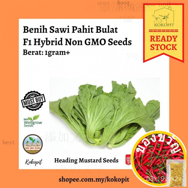 ซื้อใดๆ11 in rm9.88top salesadford bitter | RPSV