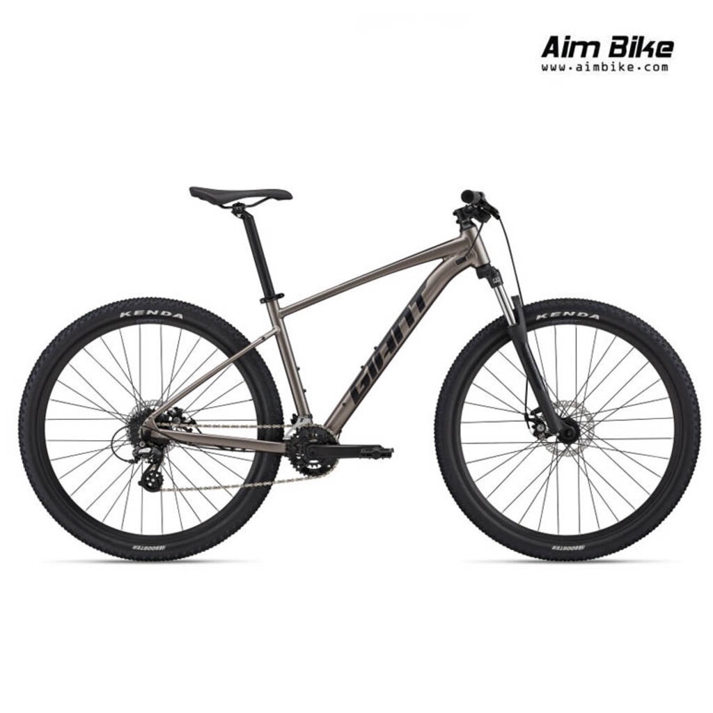 Giant จักรยานเสือภูเขาขนาดล้อ 29 นิ้ว 16 สปีด (2x8) Giant รุ่น Talon 4 (2022)