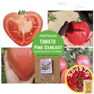 Heirloom Tomato Seeds - Oxheart Pink Tomato | เมล็ด Heirloom Non-Gmo OPV Top/headdress/เด็ก้ไข/ผัฌ/ดอกไม้/เซมล HRWO