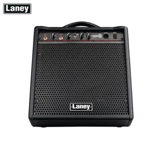 Laney DH80 Drum Monitor