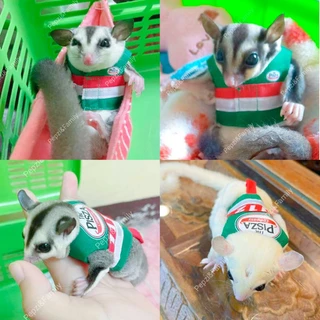 🌟🌟ถูก​ที่สุดเสื้อชูก้า​พร้อมสายจู​ง🌟🌟[[[ Pepzi&Family ]]]] เสื้อพร้อมสายจูงชูก้า ชูก้าร์ ชูการ์ไกรเดอร์ ชูการ์ไกลเดอร์