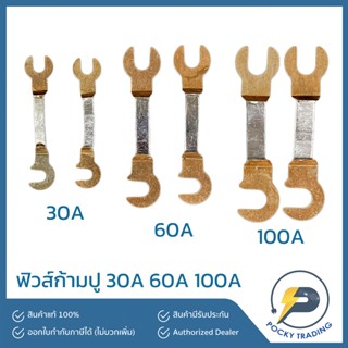 ฟิวส์ก้ามปูสำหรับสะพานไฟ 30A, 60A และ 100A (ขายเป็นคู่)