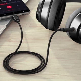 Caravan Crew Type-C to 3.5mm Audio Aux Cable