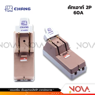 คัทเอาท์ช้าง 2P/ 30A , 60A , 100A / สะพานไฟ คัทเอาท์2สาย ช้าง พร้อมฟิวส์ CHANG ✅