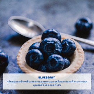 หัวน้ำหอม กลิ่นบลูเบอรี่ (Blueberry Fragrance oil) หัวน้ำหอมทำเทียน