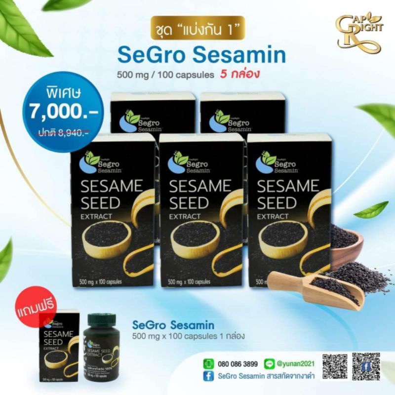 Segro Sesamin เมล็ดงาดำสกัด 5 กล่อง แถมฟรี 1 กล่อง (ชุดแบ่งกัน1)