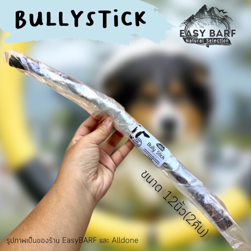 Bully Stick ตัวเดียวอันเดียว สำหรับสุนัข ของแทะ ของเล่น ขัดฟัน