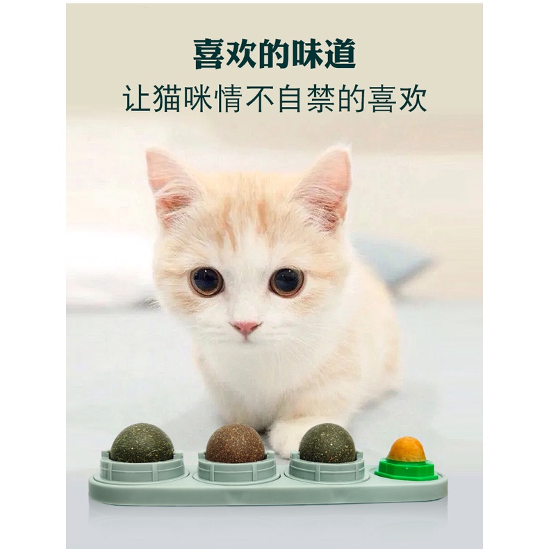 Thai.th แคทนิปบอล ติดกำแพง ไม่กลิ้งหาย catnip ball กัญชาบอล บอลแมว กัญชาแมว Xnip
