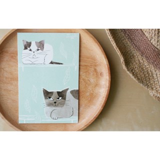 โปสการ์ด ลายแมวมองกันTwo cat illustration postcard 4x6 inch