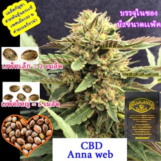 Anna web CBD เเอนนา เว็บซีบีดี โฟโต้ นอก+เมีย100 เปอร์เซ็น