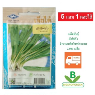 5 ฟรี 1 คละได้ เมล็ดพันธุ์ ผักชีฝรั่ง  เจียไต๋ เมล็ดพืช เมล็ดพันธุ์พืช เมล็ดผัก เมล็ดพันธุ์ผัก ผักสวนครัว