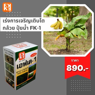 ปุ๋ยน้ำ เร่งการเจริญเติบโต เพิ่มผลผลิต กล้วย ประสิทธิภาพสูง FK-1 เร่งโต FK-3 ขยายขนาดผล สำหรับพืชออกผลทุกชนิด โดย FK