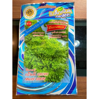 เมล็ดสลัดฟิลเลด์ไอซ์เบิร์ก  ผักสลัด ฟิลเลด์ไอซ์เบิร์ก สี่ทิศ ฟิลเลซ์ ไอซ์เบิร์ก สลัดฟิลเล่ด์ ผักกาดหอม ฟินเลด์
