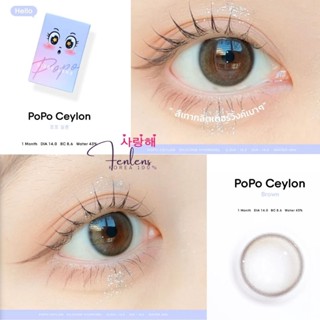 Fenlens/SISSE LENS รุ่น POPO SERIES สีเทา Ceylon  คอนแทคเลนส์เกาหลีรายเดือน [0.00, -0.50 ถึง -10.00]