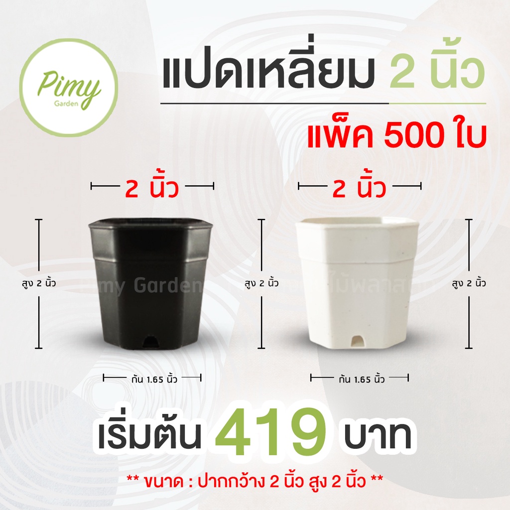 กระถางทรงแปดเหลี่ยม 2 นิ้ว แพ็ค 500 ใบ