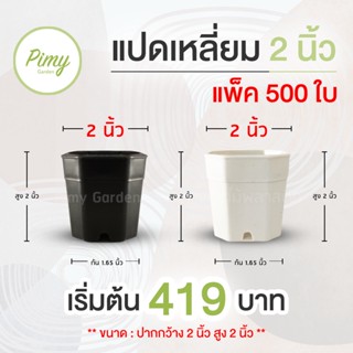 สีละ 500 ใบ กระถางแคคตัส กระถางพลาสติก ทรงแปดเหลี่ยม 2 นิ้ว : มี 2 สี สีขาว สีดำ