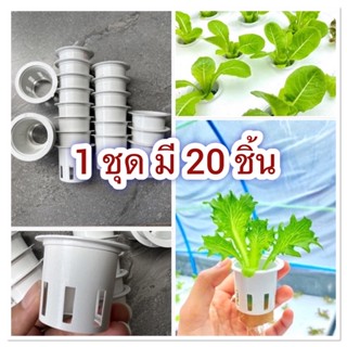 ถ้วยปลูกไฮโดรโปนิกส์ 20 ชิ้น 🌱ใช้ซ้ำได้หลายครั้ง 🥬ถ้วยปลูกผักสลัด เหนียว ทนทาน ไม่เเตกง่าย