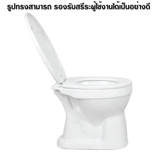 Blue Diamond โถส้วม สุขภัณฑ์ นั่งราบ ราดน้ำ ตักราด FH 3140 สีขาว