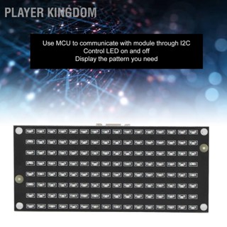 BPlayer Kingdom โมดูลควบคุมเมทริกซ์ Led 8X16 Ic2 Dc3.3 Xe2 X80 X915V สําหรับคอมพิวเตอร์