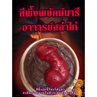 สีผึ้งพยัคฆ์นารี อาจารย์สล่าไก่