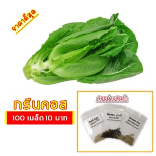 （คุณภาพสูง เมล็ด）เมล็ดผักสลัด กรีนคอส 100 เมล็ด 10 บาท งอกดีมีคู่มือการปลูก (Green Cos)  / ผั/ง่าย ปลูก สวนครัว /ดอก KZX