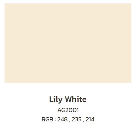 TOA โฟร์ซีซั่นส์ กึ่งเงา #AG2001 และ AG2002 ขนาด 9 ลิตร