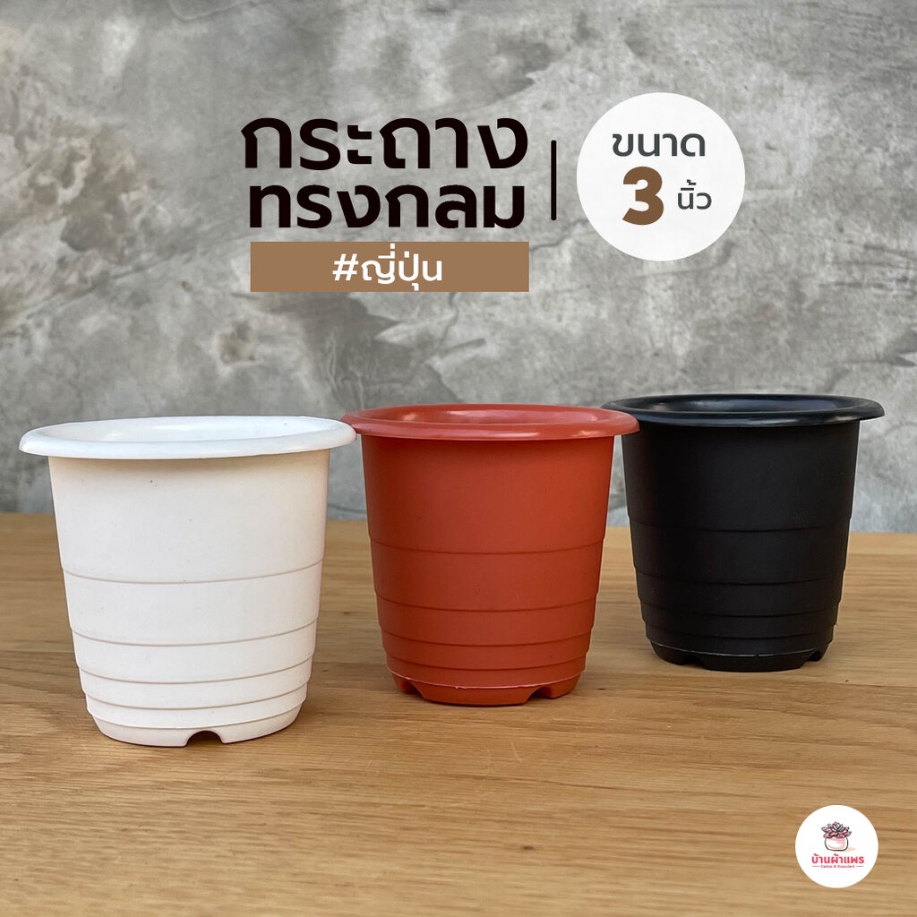 กระถางกลมทรงญี่ปุ่น 3 นิ้ว #K3 กระถางพลาสติก แคคตัส กระบองเพชร ไม้อวบน้ำ Cactus&Succulent