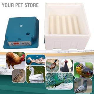 Your Pet Store เครื่องฟักไข่อัตโนมัติ หมุนได้ 360 องศา ปลั๊ก Eu 100‐240V สําหรับฟาร์มบ้าน 16 ชิ้น