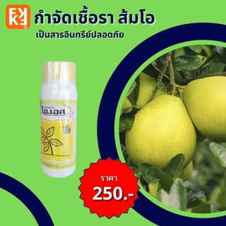 ส้มโอ จุดสนิม ราสีชมพู ใบไหม้  เชื้อราต่างๆในส้มโอ ปลอดสารพิษ ไอเอส และ FK-T(ใช้ได้ทุกพืช)โดย FK สวน ปุ๋ย ศัตรูพืช