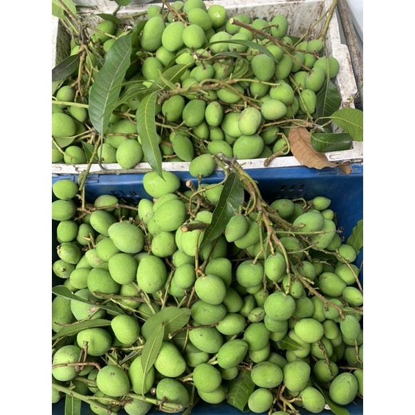 รูปภาพ 5