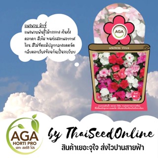 เมล็ดพันธุ์ ซองเล็ก แพงพวย มิกซ์ เอกะ AGA