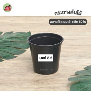 กระถาง กระถางต้นไม้ กระถางพลาสติก 2.5" 50ใบ