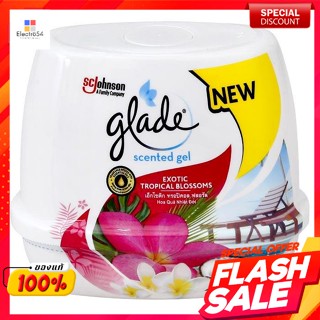 เกลด เซ็นท์เต็ด เจลหอมปรับอากาศ กลิ่นเอ็กโซติก ทรอปิคอล ฟลอรัล 180 ก.Glade Scented Gel Air Freshener Exotic Tropical Flo