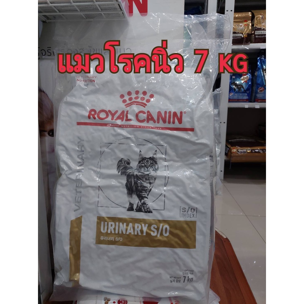 Royal Canin Urinary s/o cat (7 kg.) อาหารแมว สูตรโรคนิ่วExp24/06/27 ราคา ถูกที่สุด ดีลบีเคเค