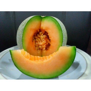 （โรงงานขายส่ง）เมล่อนสีส้ม Melon F1 Seed/อินทรีย์ 7MBA