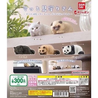 🅟🅕 กาชาปองน้องสัตว์แอบมองด้วยความเป็นห่วง 🥺🐼🐈‍⬛🐱🐶🦝🥺 Gently Watch Over Animals gashapon