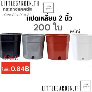 Little กระถางแคคตัส 2 นิ้ว 200 ใบ กระถางแปดเหลี่ยม (สีดำ🖤)(สีขาว🤍)(สีอิฐ🧱)(สีเทา)