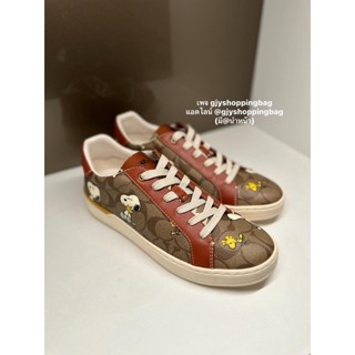 รองเท้าผ้าใบ Snoopy Woodstock Coach X Peanuts Clip COACH CE860 ไม่มีกล่อง