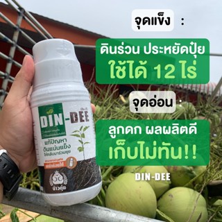 ดินดี (Din-Dee)🔥 สารชีวภาพปรับปรุงสภาพดิน