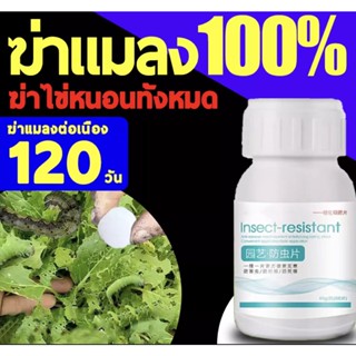 👍ออกฤทธิ์นาน120วัน👍ยากำจัดเพลี้ย ยากำจัดสัตรูพืช ฆ่าแมลงเท่านั้น ไม่ทำร้ายพืช กำจัดแมลงได้กว้างขวาง 40g(200เม็ด) ยาเชื้อ