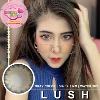 WinkWow Lush Eff.19 Gray ใหญ่