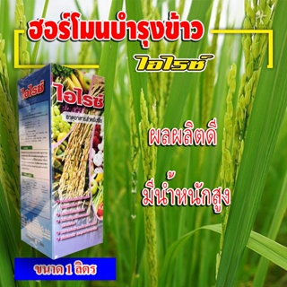 ไอไรซ์ ฮอร์โมนพืช สำหรับข้าว ช่วงข้าวท้อง ออกรวง เพิ่มน้ำหนัก ข้าวออกสุดรวง ออกพร้อมกัน เมล็ดข้าวเต่งใส เมล็ดเต็ม 1 ลิตร