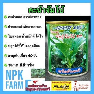 คะน้ายอด คะน้าจัมโบ้ 80 กรัม เมล็ดพันธุ์ คะน้า ลอตใหม่ งอกดี ก้าน ลำต้นอวบกรอบ ปลูกง่าย อายุเก็บเกี่ยว 40 วัน ปลูกทั้งปี