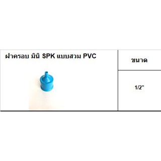 ฝาครอบมินิ ท่อ PVC เกลียวแบบสวม ขนาด 1/2" (บรรจุ10ตัว/ถุง)